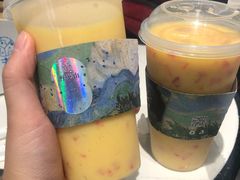 -野萃山·潮汕厚果汁(十亩地店)