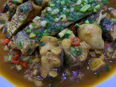 -全乐鱼馆·淳牌有机鱼直营店