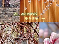 -三里河公园