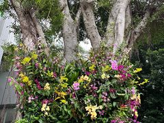 -人民公园(罗湖区)