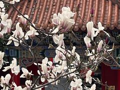-皇罗禅寺