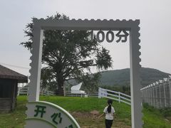 -苏州太湖西山岛开心农场