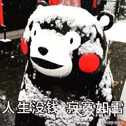 bellalau上传的图片