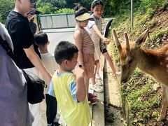 -大连森林动物园