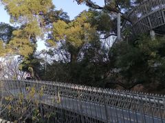 -福道