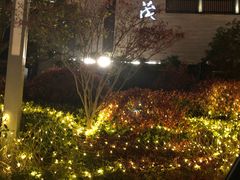 -上海崇明金茂凯悦酒店