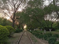 -永定河休闲森林公园