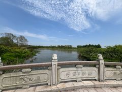 -上海海湾国家森林公园