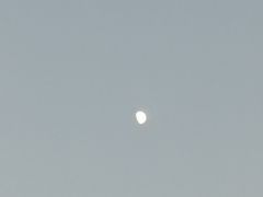 -茉酸奶(松江开元地中海店)