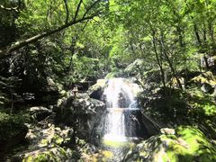 -牛背梁国家森林公园