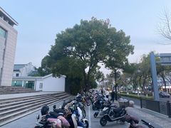 -苏州图书馆(人民路总馆)