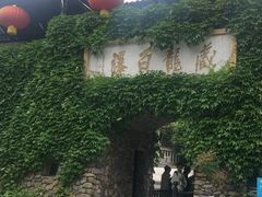 -藏龙百瀑风景区