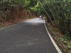 -大屏嶂森林公园