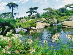 -罗红摄影艺术馆