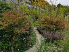 -宁海安岚·南溪阁全日餐厅
