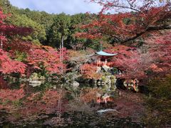 -醍醐寺