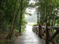 -广州市石门国家森林公园