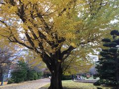 -北海道厅旧本厅舍(旧本庁舎)