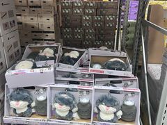 -山姆会员商店(上海浦东店)