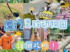 -灵玲国际马戏城