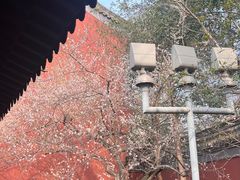 -钱王祠