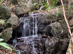 -阳台山森林公园