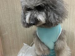 -北京观赏动物医院·24小时大型综合·猫专科·异宠专科