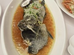 -骏莱海鲜鱼港(五角场店)