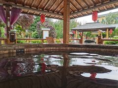 -华山御温泉度假村