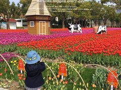 -大宁郁金香公园-停车场