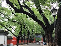 -北京国子监胡同