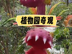 -沈阳植物园
