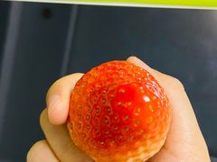 -南大门韩国米糕(公滨路店)