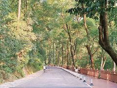 -岳麓山风景名胜区