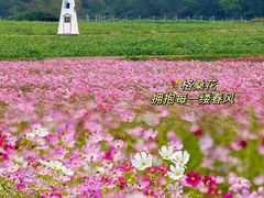 -三亚西岛海洋文化旅游区