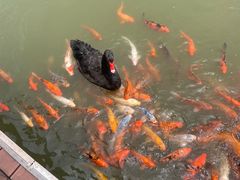 -春晖园度假酒店温泉