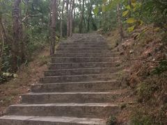 -狐尾山公园
