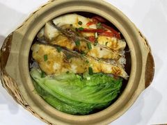 -惠如楼(白云机场T1主楼一层店)