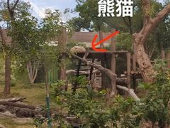 -武汉动物园