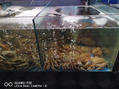 -蟹之国·精品蟹料理(极地店)