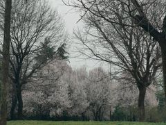 -洨河生态公园