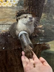 -Zoolung Zoolung动物主题公园(海信广场店)