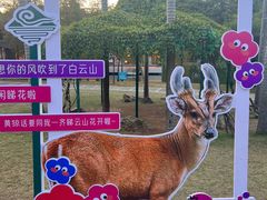 -广州市白云山风景名胜区