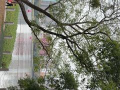 -南宁南湖公园