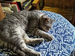 -老屋咖啡