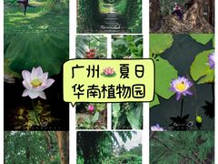 -中国科学院华南植物园