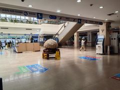 -上海市东方医院(总院)