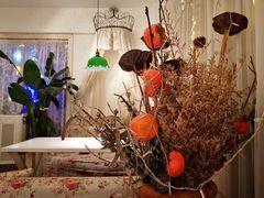-秀儿家の小确幸花园西餐厅