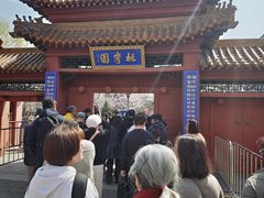 -桃花堤公园