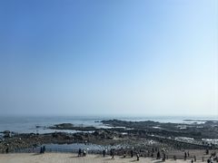 -海合安青岛极地海洋公园